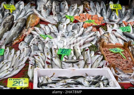 ISTANBUL - OCT 21: Tray with fresh raw fish and seafood at a street market or bazaar in Istanbul, October 21. 2021 in Turkey Stock Photo