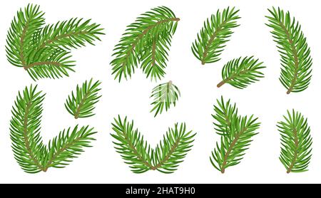 Christmas background with green Pine Branches. Vector Stock Vector Image &  Art - Alamy