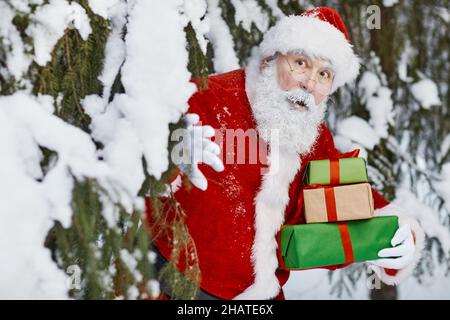 Horizontal waist up shot of Santa Claus walking in winter fir tree forest appearing with gift boxes for Christmas Stock Photo
