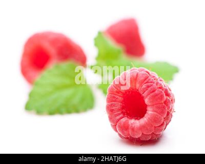 Raspberries, mint, fruit, red, green, leaf, fresh, raspberry, fruit, leaves, more, details, food, fresh, fruit, fruity, light, bright, close, close, l Stock Photo