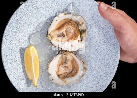 Plate of oysters with ice and lemon held by a hand on a black background Stock Photo