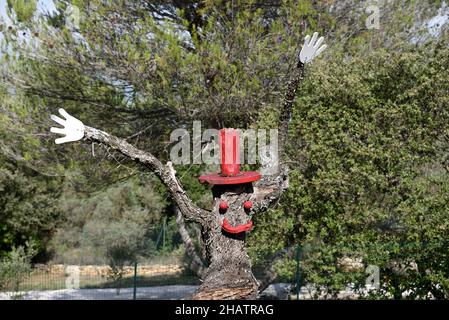 Funny Dead Tree Trunk Sculpture or Tree Scarecrow Stock Photo