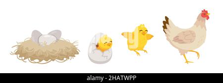 Hatching process. Vector cartoon illustration. White background. Stock Vector