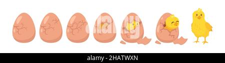 Hatching process. Vector cartoon illustration. White background. Stock Vector