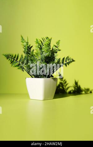 Artificial platic fern plant in a white pot against a green background brightly lit from the left with a shadow.