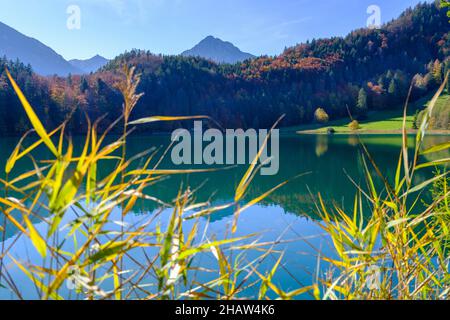 Alatsee near Fuessen, in autumn, Ostallgaeu, Upper Bavaria, Bavaria, Germany Stock Photo