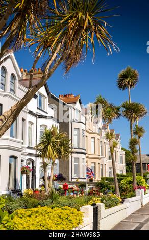 UK Northern Ireland, Co Down, Donaghadee, palms growing in front gardens of seafront houses Stock Photo