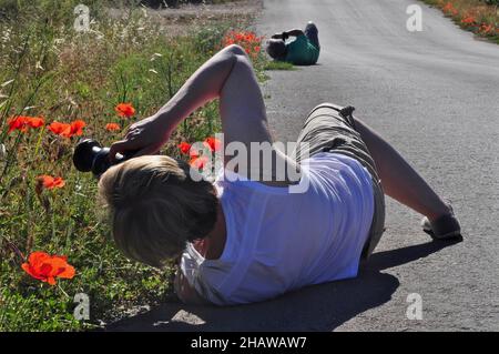 Women lying on the ground photographing poppies, lying photographer, close up, photographing from below, frog perspective Stock Photo