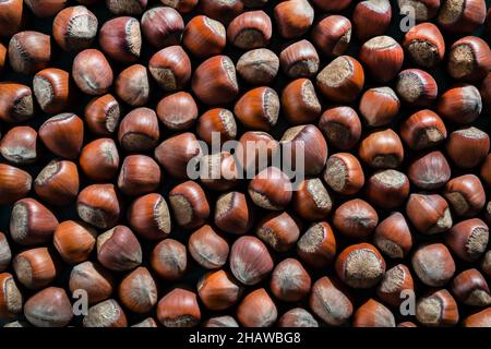 Brown hazelnuts in shell. Food textured background. Top view Stock Photo