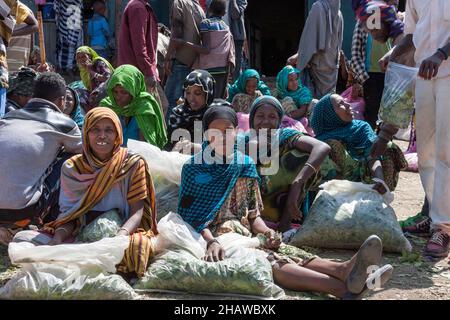 Cath leaves, cath bush (Catha edulis), market, Asebe Teferi, Oromia, Ethiopia Stock Photo