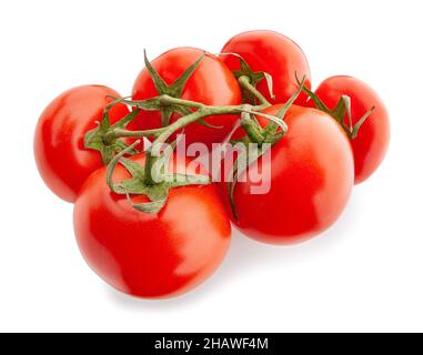 tomato branch path isolated on white Stock Photo