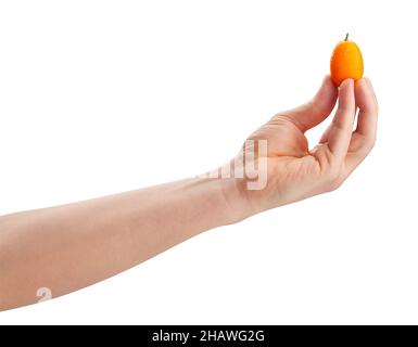 kumquat in hand path isolated on white Stock Photo