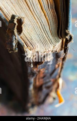 Close-up of the spine of an old book Stock Photo