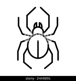 Spider Outline Icon Animal Vector Stock Vector