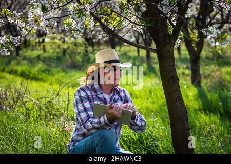 Farmer inspecting blooming fruit tree and holding digital tablet in orchard farm at spring. Gardener with straw hat using modern technology Stock Photo