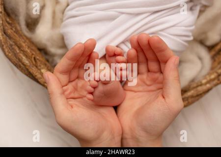 The palms of the father, the mother are holding the foot of the baby .  Stock Photo