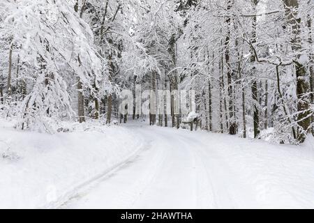 snowy road in the forest, off-road vehicle in snowy landscape, Beautiful snowy alley in the beginning of winter Stock Photo