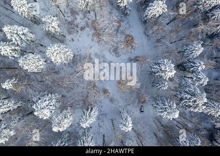 Aerial view from above of car in winter forest covered in snow. Pine tree and spruce forest top view. Cold snowy wilderness drone landscape photo. Stock Photo