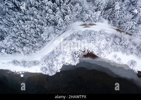 Aerial view on the road and forest at the winter time. Snowy forest, natural winter landscape. Stock Photo
