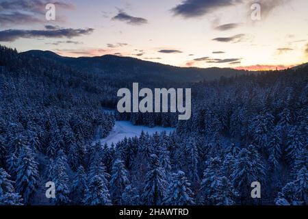 Aerial view from above of winter forest covered in snow. Pine tree and spruce forest top view during blue hour. Cold snowy drone landscape photo. Stock Photo