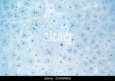 An aerial drone looking down captures patterns, shapes, holes and cracks in frozen lake ice. Stock Photo