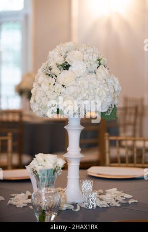 White Hydrangea Bouquet center piece at wedding reception Stock Photo