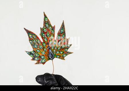 Painted peacock on a fallen leaf. A hand in a black leather glove holds a leaf with a beautiful drawing of the beautiful bird. Indoors. Selective focu Stock Photo