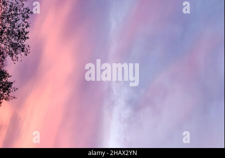Beautiful colorful pink and purple cloudy sky at sunset. Gradient sky color Stock Photo