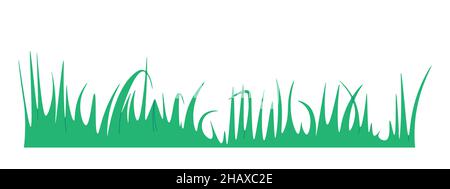 Grass isolated on white background. Plants with long, tall leaves. The garden is not even lawn. Vector for design. Stock Vector