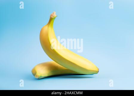 Banana levitation. Two yellow bananas on a blue background. Stock Photo