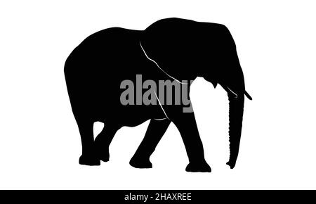 elephants family on white background. elephant silhouette. Stock Vector