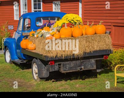 antique blue truck's bed filled with bales of hay and autumn fall decorations Stock Photo