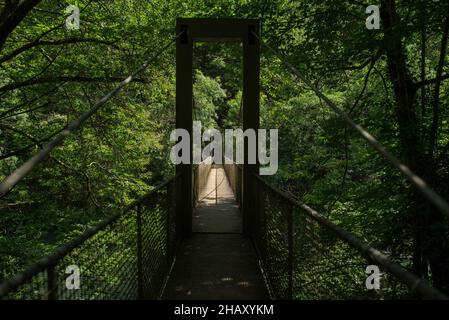 Perspective view of narrow wooden suspension bridge with metal railings between green lush trees in forest in national park of Fragas do Eume in Galic Stock Photo