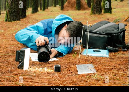 Serious photographer taking shots of small toadstool mushrooms with camera and illuminated lamps Stock Photo