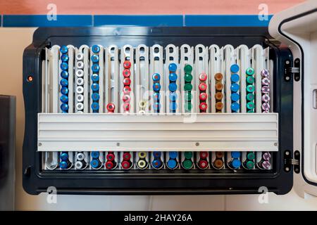 Top view rows of assorted colorful vials with remedy in opened plastic container placed in modern light veterinary clinic with medicine Stock Photo