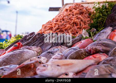 Closeup of colorful various raw fish displayed for sale at market Stock Photo