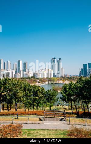 Songdo Sunrise Park and skyscraper in Incheon, Korea Stock Photo - Alamy