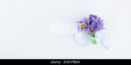 A bouquet of spring flowers, snowdrop or lumbago on a light background. Festive spring flat composition, copy space Stock Photo