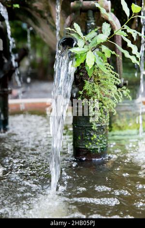 Vintage rusty water fountain hand pump and many Moss. Stock Photo
