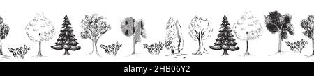 hand drawing with deciduous and coniferous trees, hand drawn natural border. seamless pattern Stock Vector