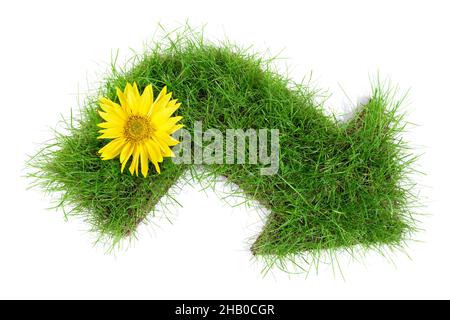 Grass Arrow Pointer isolated on white Background Stock Photo
