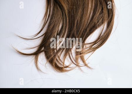 Brown hair isolated on white background with Long ponytail Stock Photo
