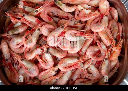 Pink fresh frozen shrimps with ice in supermarket or fish shop. Uncooked seafood close up background. Fresh frozen prawns, delicacies, sea food concep Stock Photo