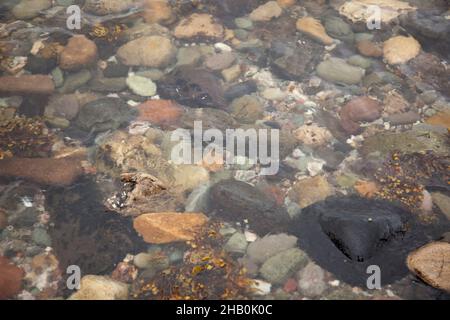 Stones under water Stock Photo