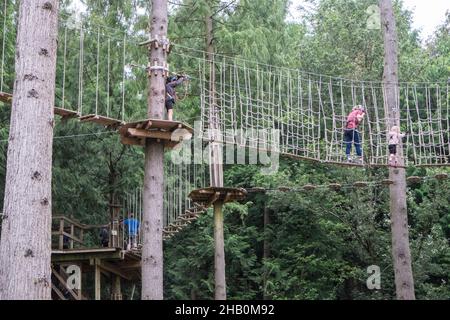 Go Ape,next,to,Sculpture Trail,Forest of Dean,Sandwiched between the River Severn and the River Wye you’ll find Beechenhurst, Forest of Dean. This peaceful location is home to Go Ape, Forest of Dean Treetop Adventure course so bring the whole family for some giggles and fun on our high ropes course. With great views and lots of other opportunities to keep you busy this location is ideal for making special memories with younger age groups. Near,Coleford,Gloucestershire,England,English,GB,Great Britain,Britain,British,UK,United Kingdom,adventure,challenge,zip line, fun, Stock Photo