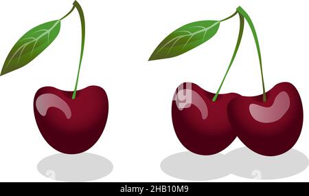 Set of photo realistic tasty cherries with shadow isolated drawing in flat style on a transparent background Stock Vector