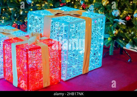 Two Christmas gift boxes with bows and glowing garlands on them against the background of festive fir tree Stock Photo
