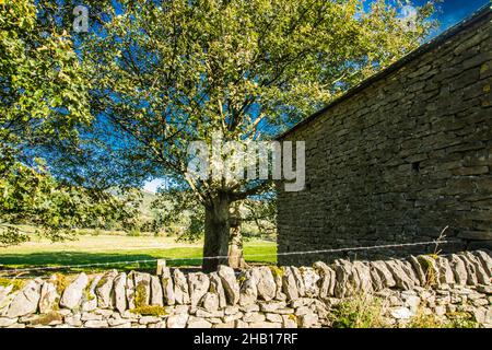 siding in the Heat Today Raymond Boswell Stock Photo