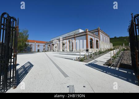 Aÿ-Champagne (north-eastern France): Pressoria, Center for the Sensory Interpretation of Champagne Wines, at the bottom of the historic hillsides of A Stock Photo