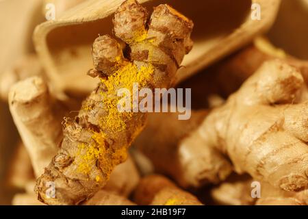 Ginger Roots on a dark background Stock Photo